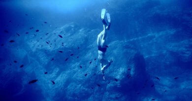 scuba diving